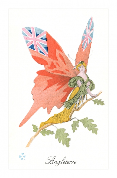 Angleterre Butterfly Postcard