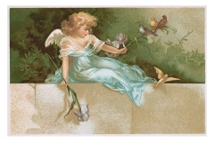 Angel Postcard