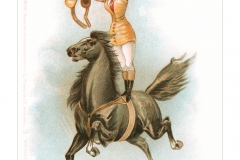 Barnum Bailey Girl on Horse Postcard