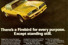 Trans-Am 1978 - "There's a Firebird for Every Purpose Except Standing Still" Advertisement