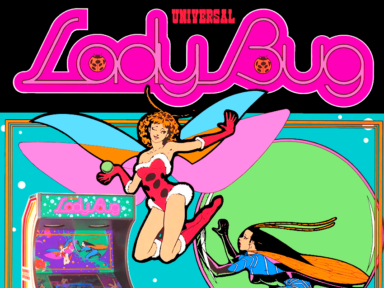 Lady Bug Arcade Advertisement Flyer